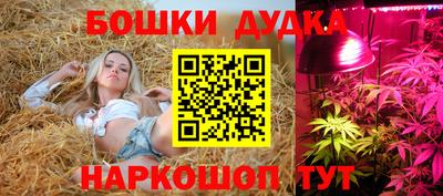 кокаин Гатчина