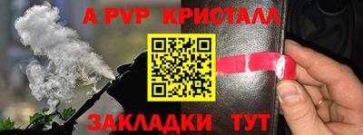 кокаин Гатчина