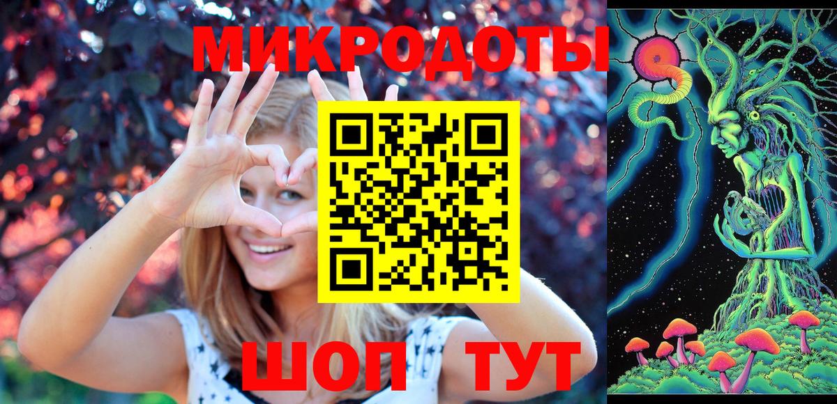 Псилоцибиновые грибы Psilocybe Находка