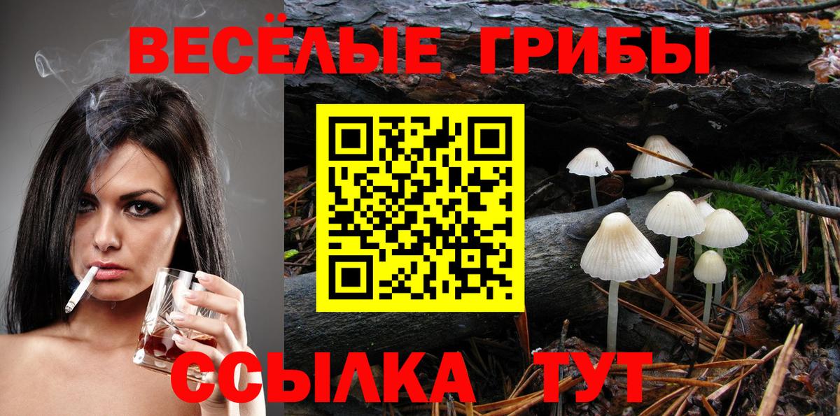 Находка  Галлюциногенные грибы мицелий  Вход с VPN 