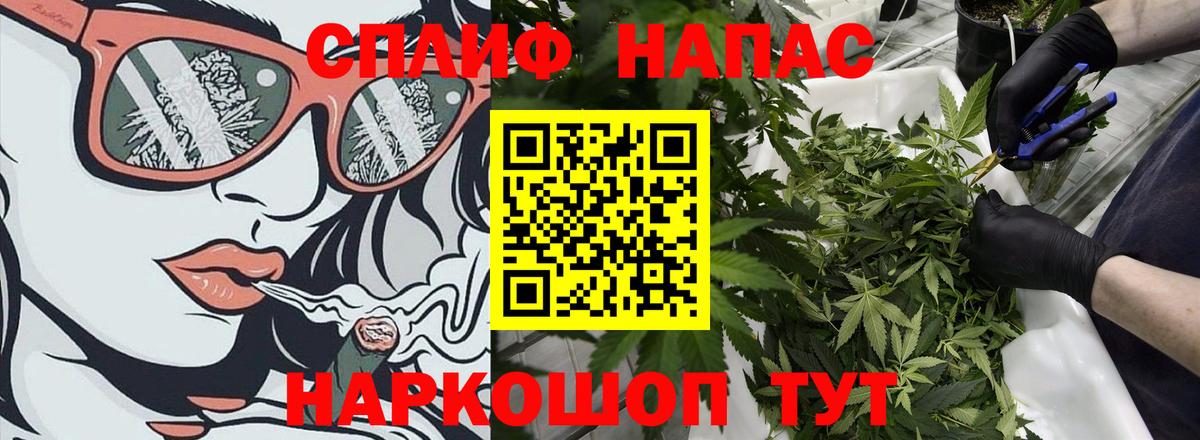 Бошки Шишки White Widow  Бошки Шишки марихуана  Шишки марихуана сатива  Вход с VPN  Находка 